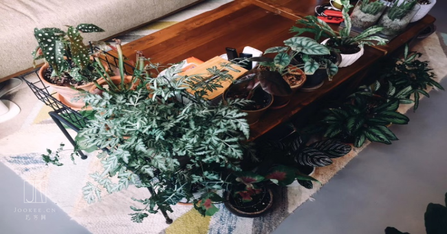 小屋风推荐.png