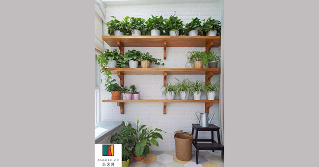 绿植展示.jpg